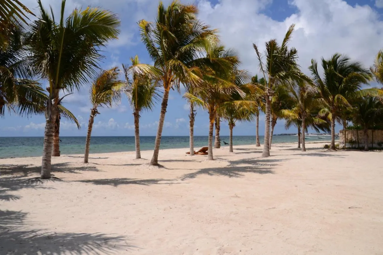 Ocean Front Luxury Villa At Arenika Beach House Puerto Morelos