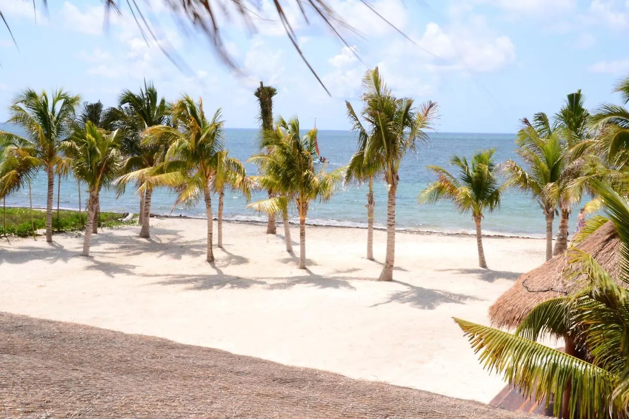 Ocean Front Luxury Villa At Arenika Beach House Puerto Morelos 0*,  Mexico