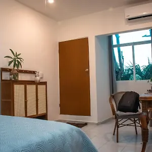 Auberge de jeunesse Cuca Macuca, Puerto Morelos